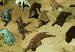 Ginga Nagareboshi Gin picture
