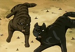 Ginga : It's Dangerous Ben! The Confrontation of the Ninja Grounds! picture