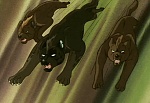 Ginga : It's Dangerous Ben! The Confrontation of the Ninja Grounds! picture