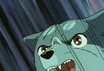 Ginga : It's Dangerous Ben! The Confrontation of the Ninja Grounds! picture