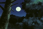 Ginga Nagareboshi Gin picture