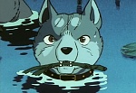 Ginga : It's Dangerous Ben! The Confrontation of the Ninja Grounds! picture