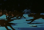 Ginga Nagareboshi Gin picture