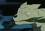 Ginga Nagareboshi Gin picture