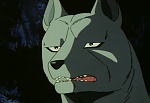 Ginga Nagareboshi Gin picture