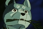 Ginga Nagareboshi Gin picture