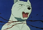 Ginga Nagareboshi Gin picture