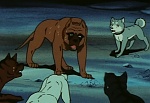 Ginga Nagareboshi Gin picture