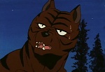 Ginga Nagareboshi Gin picture