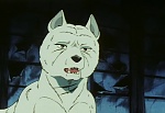 Ginga Nagareboshi Gin picture