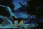 Ginga Nagareboshi Gin picture