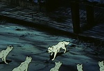 Ginga Nagareboshi Gin picture