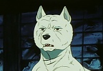 Ginga Nagareboshi Gin picture