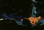 Ginga Nagareboshi Gin picture