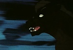 Ginga Nagareboshi Gin picture