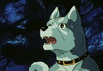 Ginga Nagareboshi Gin picture