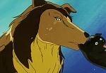Ginga Nagareboshi Gin picture