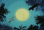 Ginga Nagareboshi Gin picture