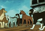Ginga Nagareboshi Gin picture