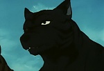 Ginga Nagareboshi Gin picture