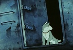 Ginga Nagareboshi Gin picture