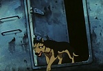 Ginga Nagareboshi Gin picture