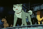 Ginga Nagareboshi Gin picture
