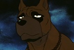 Ginga Nagareboshi Gin picture