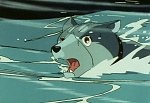 Ginga Nagareboshi Gin picture
