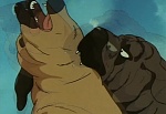 Ginga Nagareboshi Gin picture