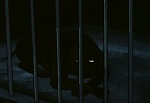 Ginga Nagareboshi Gin picture