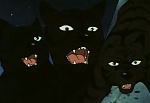 Ginga Nagareboshi Gin picture
