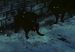 Ginga Nagareboshi Gin picture
