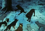 Ginga Nagareboshi Gin picture