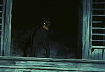 Ginga Nagareboshi Gin picture