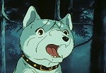 Ginga Nagareboshi Gin picture