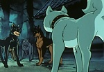 Ginga Nagareboshi Gin picture