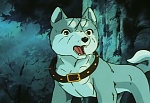 Ginga Nagareboshi Gin picture