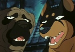 Ginga Nagareboshi Gin picture