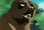 Ginga Nagareboshi Gin picture