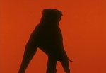 Ginga Nagareboshi Gin picture