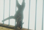 Ginga Nagareboshi Gin picture