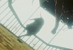 Ginga Nagareboshi Gin picture