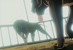 Ginga Nagareboshi Gin picture