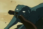Ginga Nagareboshi Gin picture