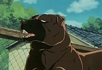 Ginga Nagareboshi Gin picture