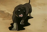 Ginga Nagareboshi Gin picture