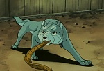 Ginga Nagareboshi Gin picture