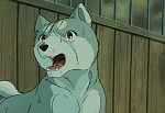 Ginga Nagareboshi Gin picture