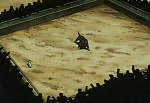 Ginga Nagareboshi Gin picture